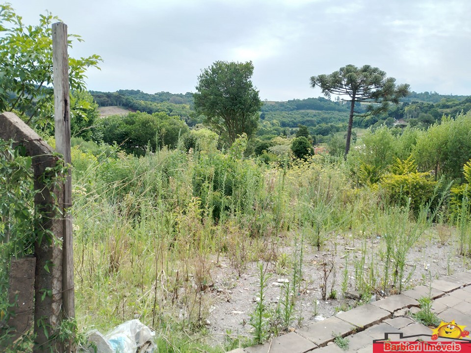 TERRENO NO CENTRO DE NOVA BASSANO