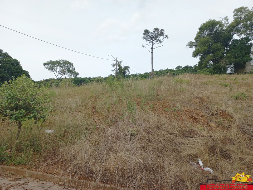 LOTE Nº 06, DA QUADRA "D", DO LOTEAMENTO BELLUNO