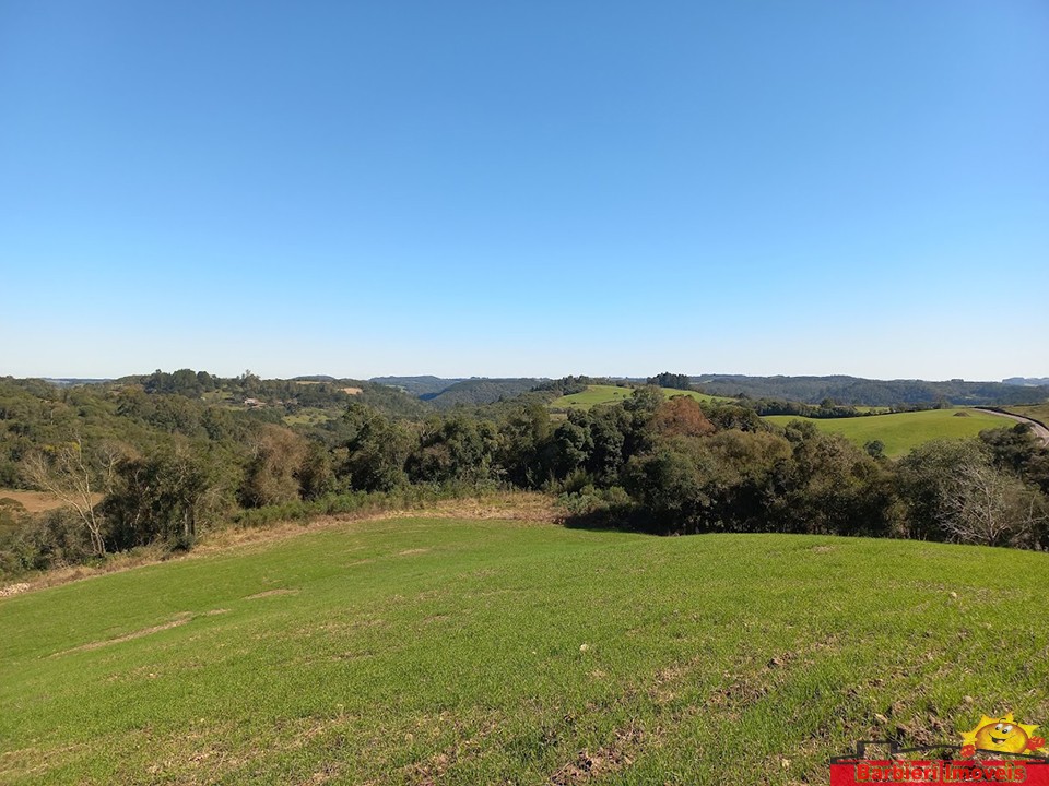 ÁREA DE TERRAS COM PEDREIRAS EM PROTÁSIO ALVES